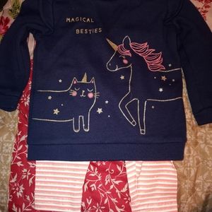 2 piece outfit 12 months Carters